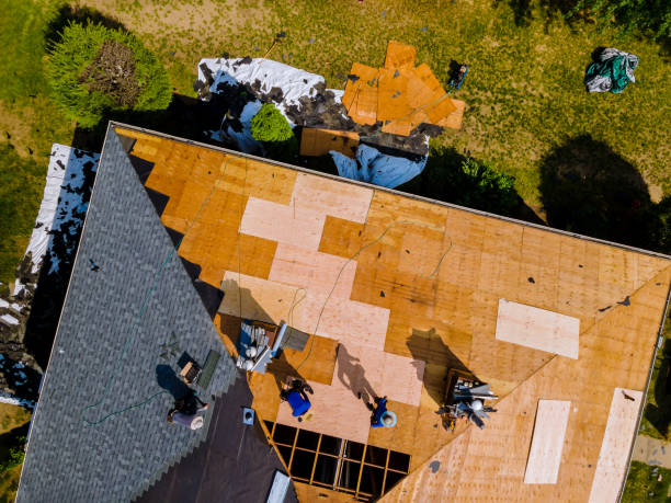 Best Storm Damage Roof Repair  in Waldo, AR