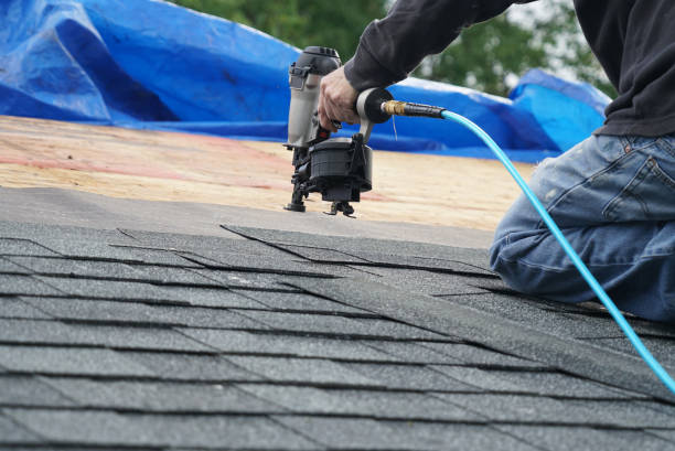 Roof Gutter Cleaning in Waldo, AR