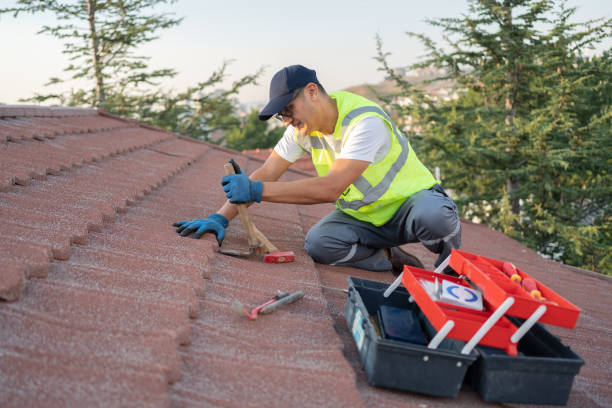 Best Roof Gutter Cleaning  in Waldo, AR